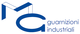 M.G. Guarnizioni
